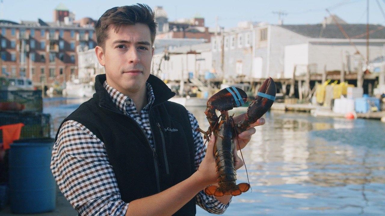 Young man holding a banded lobster at a Maine fishing dock, with boats and harbor buildings in the background.